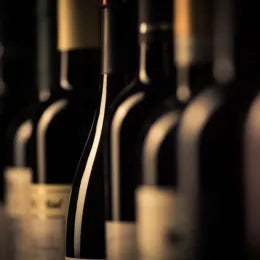 バー山吹ギャラリー