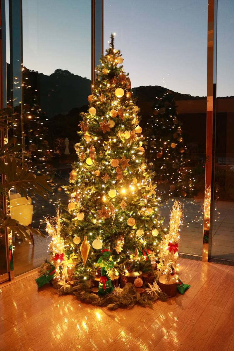 クリスマスツリー設置いたしました。