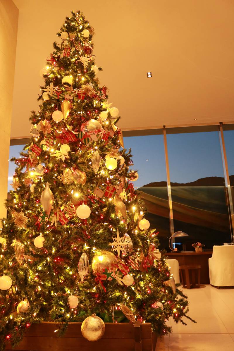 クリスマスツリー設置いたしました。