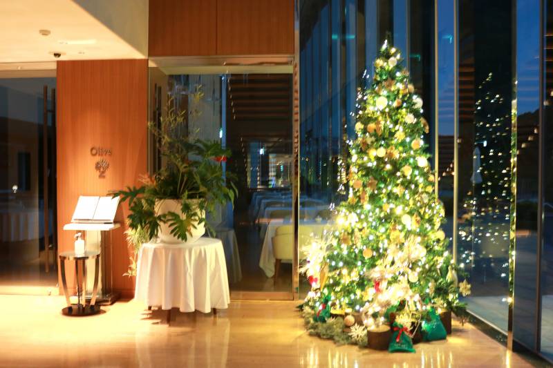 クリスマスツリー設置いたしました。