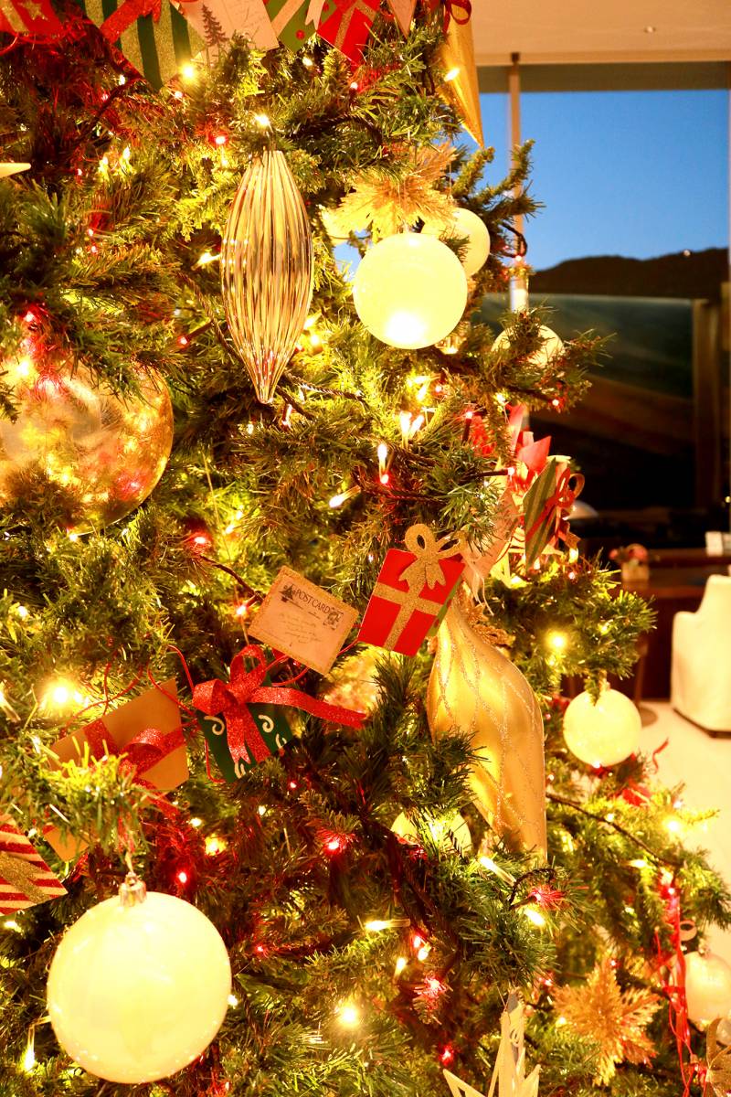 クリスマスツリー設置いたしました。