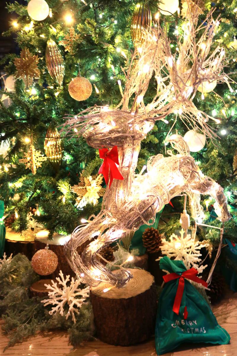 クリスマスツリー設置いたしました。