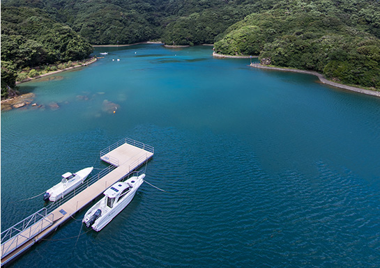 Oshima Island Excursion Cruise